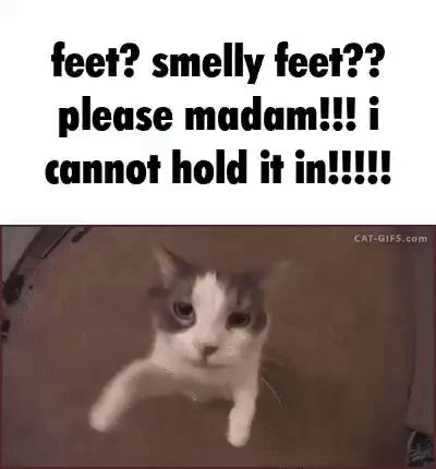 Comment image