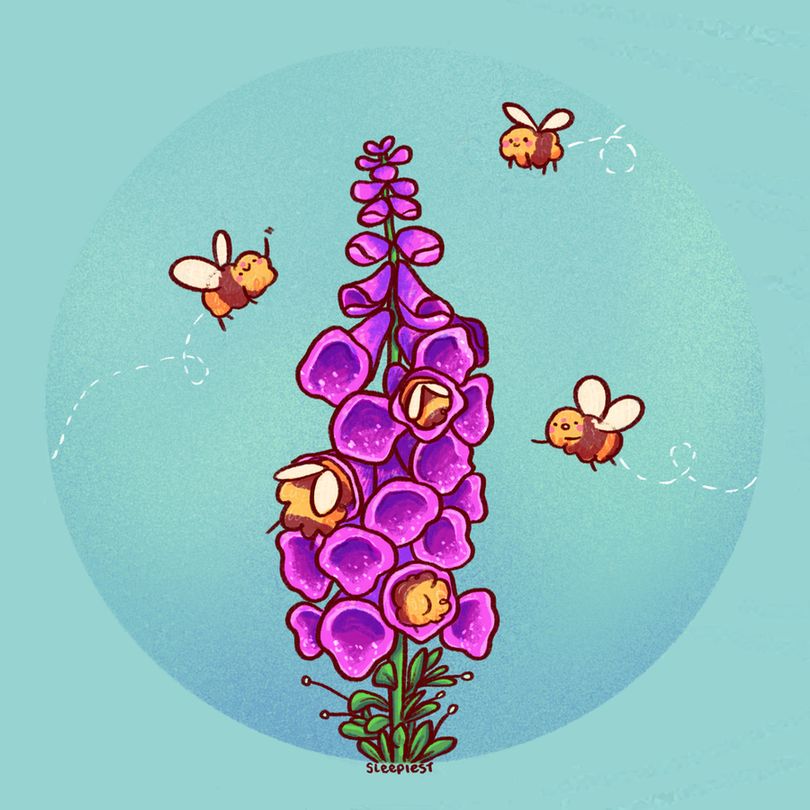 illustration of a purple foxglove flower with lots of bees around and in the flower