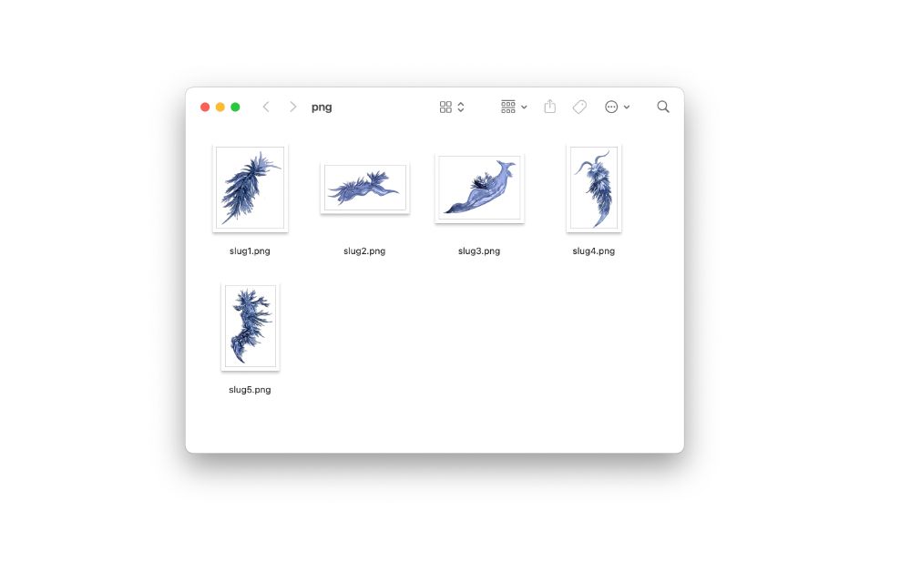 screenshot of watercolor sea slug thumbnails in indigo