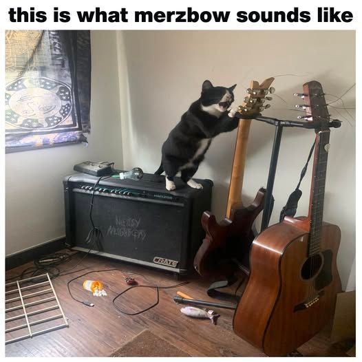 This is what merzbow sounds like a cat scratching a guitar and howling 