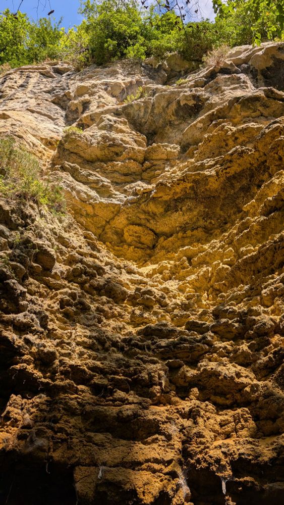 A tall crumbling cliff with plants hanging over the top 