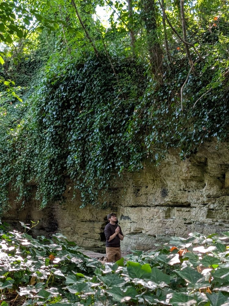 A cliff topped with trees and a curtain of ivy, jay kneels in front of it