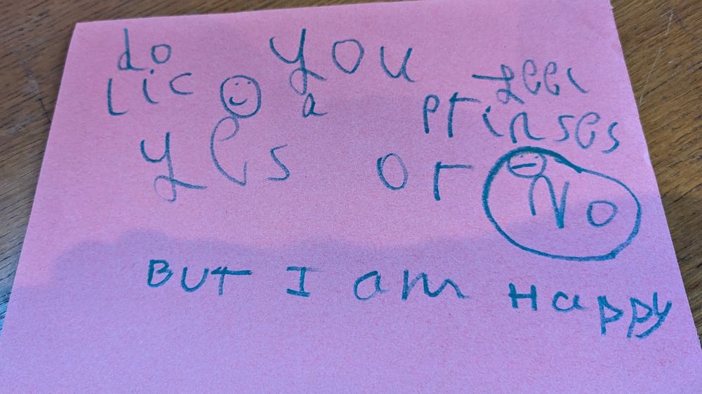 A paper with children's writing on it

"Do you feel like a princess" yes or no

Someone has circled no, but underneath they have written "but I am happy"