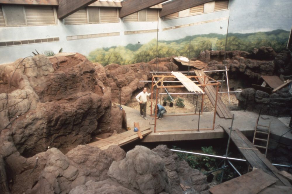 Interior construction of JungleWorld in the early 1980s.