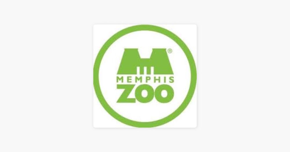 Memphis’s Jewel: Exploring Our Zoo with CEO Matt Thompson