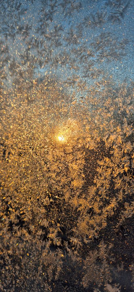 Sonnenaufgang durch Eisblumen fotografiert