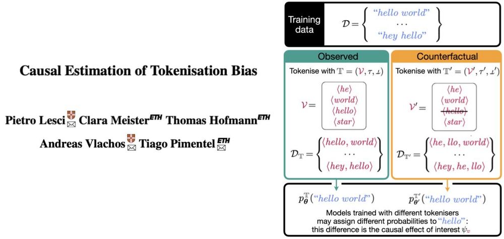 Title of paper "Causal Estimation of Tokenisation Bias" and schematic of how we define tokenisation bias, which is the causal effect we are interested in.