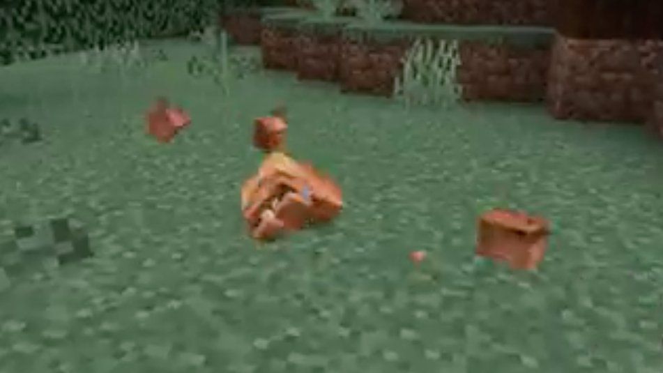 A broken frog model with scattered pieces in Minecraft