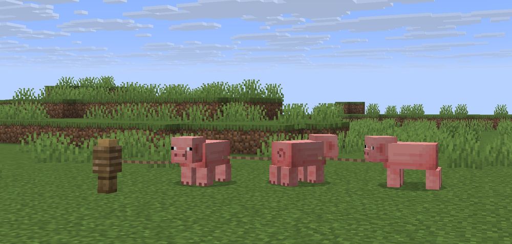 Three pigs chained tohether by leads and attached to a fence post in Minecraft