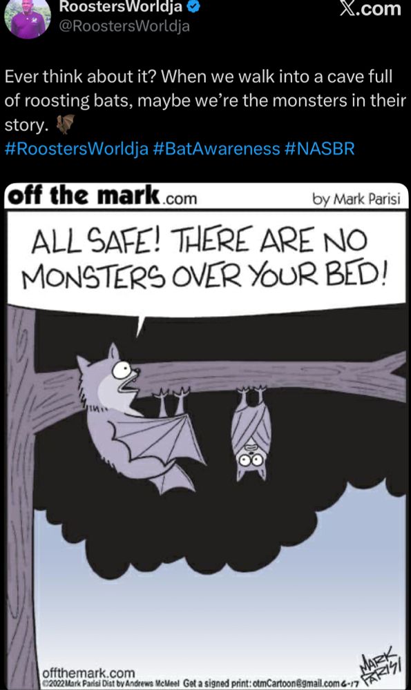 RoostersWordja & @RoostersWorldja
X.com
Ever think about it? When we walk into a cave full of roosting bats, maybe we're the monsters in their story.
#RoostersWorldja #BatAwareness #NASBR
off the mark.com
by Mark Parisi
ALL SAFE! THERE ARE NO MONSTERS OVER YOUR BED!
offthemark.com
€2022 Mark Parisi Dist by Andrews McMeel Get a signed print: otmCartoon@gmail.com G-17