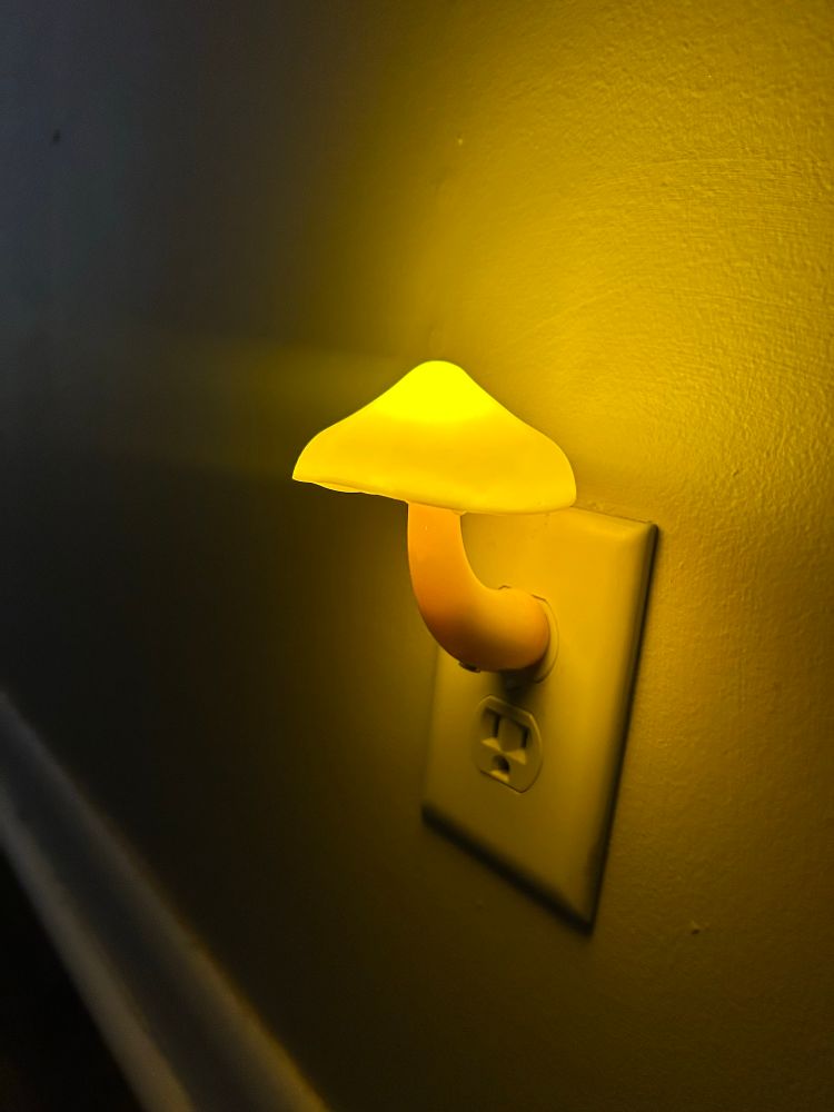 A glowy mushroom nightlight in a long, dark, apartment hallway. 