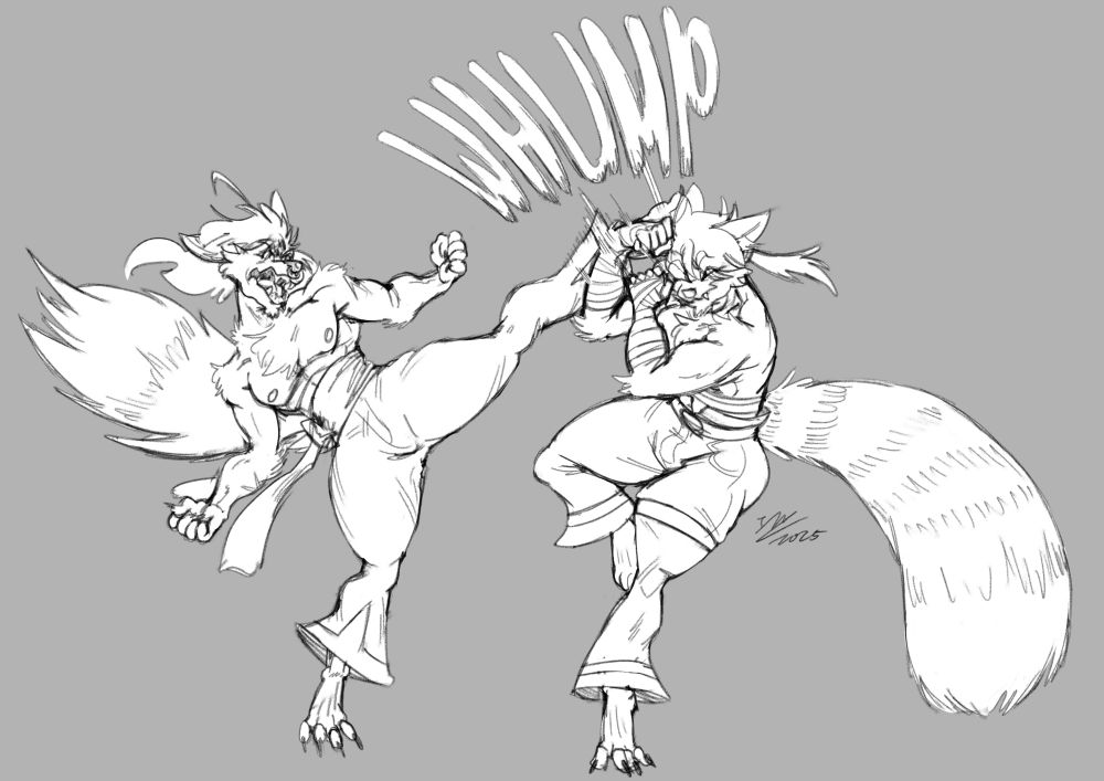Two men stripped down to their pants having a spar, the wolf on the left throwing a high kick that the red panda on the right easily blocking with an arm.