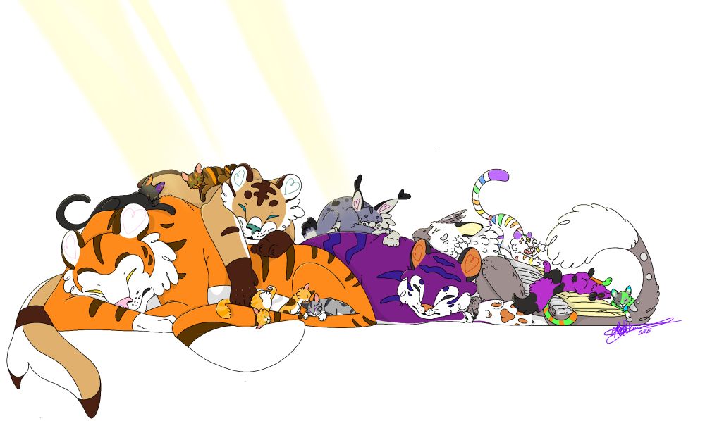 From left to right Tangerine, Pumpkin purr Limbo Cornflakes Cheese Domino Doodle Winters Lotus Sesame Mochi Them Matcha they are all lounging in the sun in a large cuddlepile