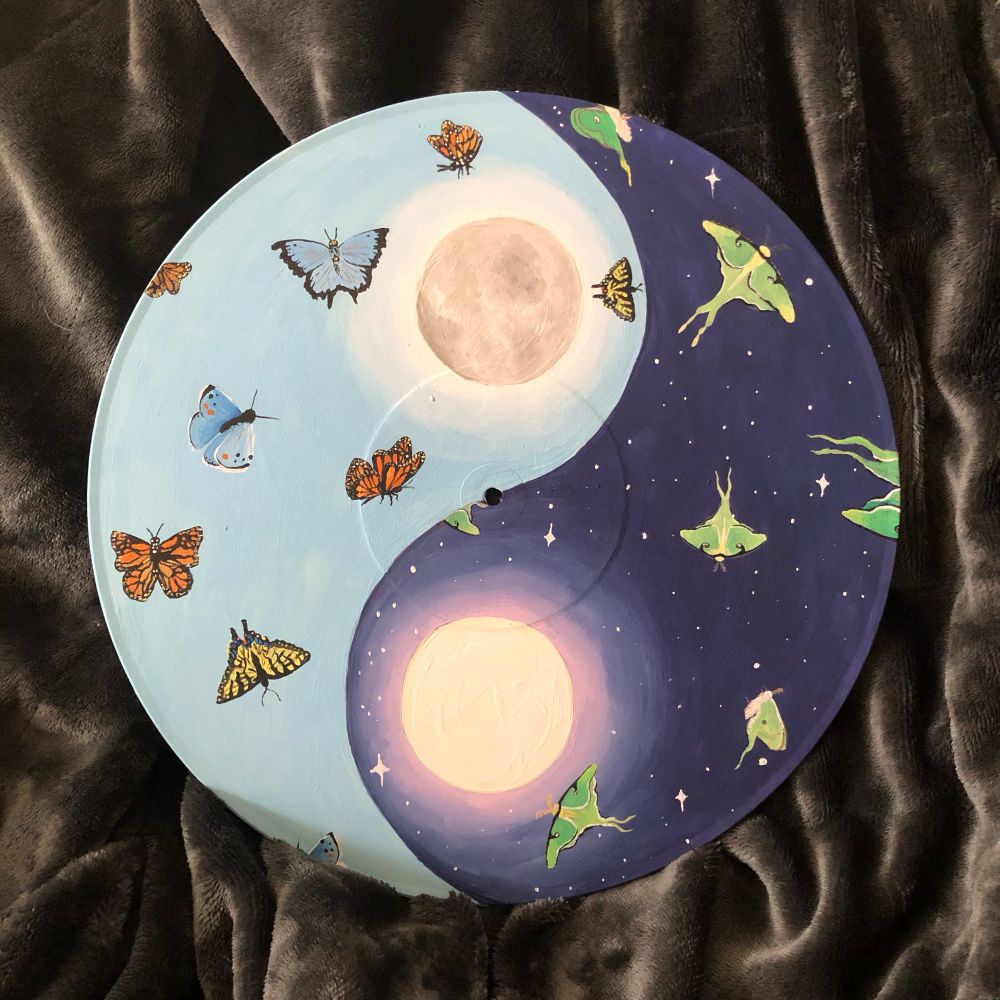 a painting on an old record in a yin-yang style. the left side is a light blue with the moon as the circle with various types of butterflies. the right side is a deep blue-purple with the sun as the circle with luna moths flying around with stars dotting the background