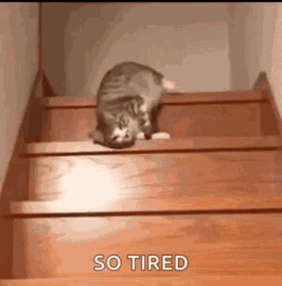 a cat is laying on top of a set of wooden stairs and says `` so tired '' .