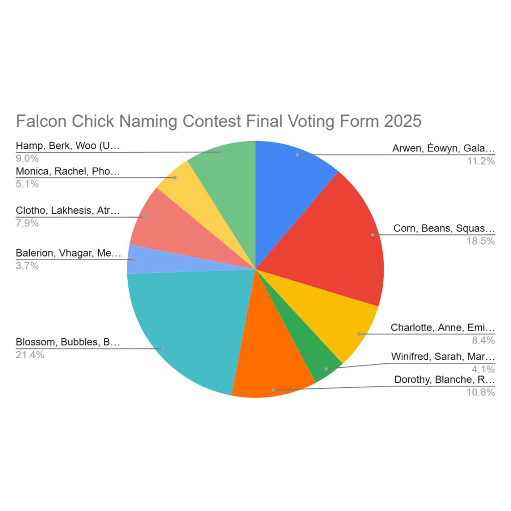 Pie chart of the results of the Falcon Chick Naming Contest Final Voting Form 2025:

Blossom, Bubbles, Buttercup: 21.4%
Corn, Beans, Squash: 18.5%
Arwen, Eowyn, Galadriel: 11.2%
Dorothy, Blanche, Rose: 10.8%
Hamp, Berk, Woo: 9.0%
Charlotte, Anne, Emily: 8.4%
Clotho, Lakhesis, Atropos: 7.9%
Monica, Rachel, Phoebe: 5.1%
Winifred, Sarah, Mary: 4.1%
Balerion, Vhagar, Meraxes: 3.7%