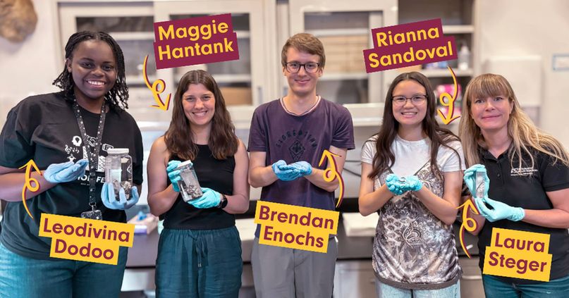 Four people, three women and one man, shown holding red-backed salamander specimens. Three of the women are holding jarred specimens, while one man and another one of the women are holding just the salamanders in the palms of their hands.
