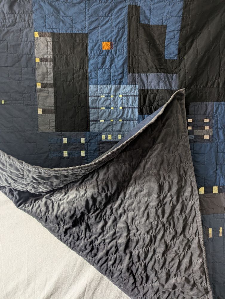 Minky backing and trim on skylight quilt