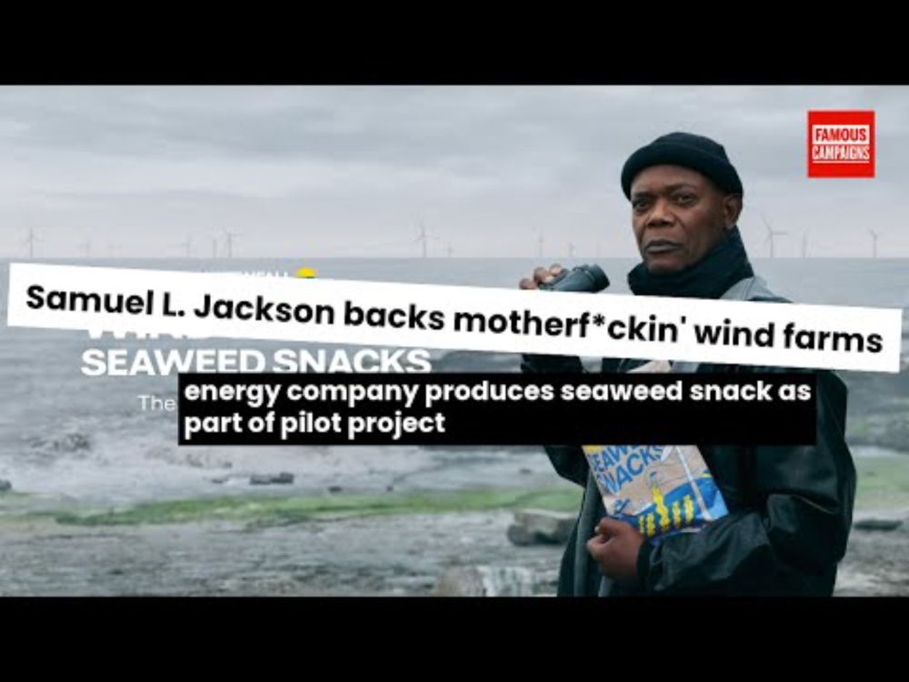 YouTube video by Famous Campaigns