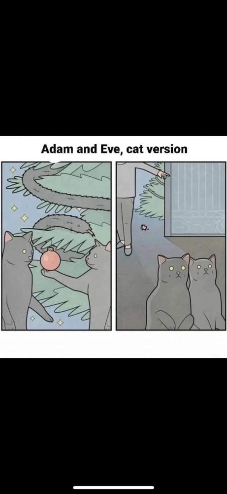 Comic strip titled "Adam and Eve, cat version".
In the first picture two cats are next to a christmas tree decorated by a chain looking like a snake and red glass ball ornaments. Cats are trying to reach for the ball.
In the second picture the two cats are evicted out of the house.