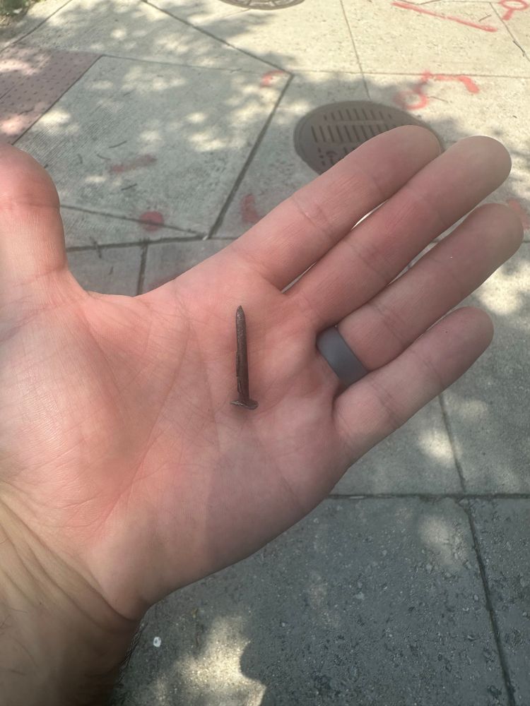 Picture of a nail pulled from the rear wheel of a cargo bike 