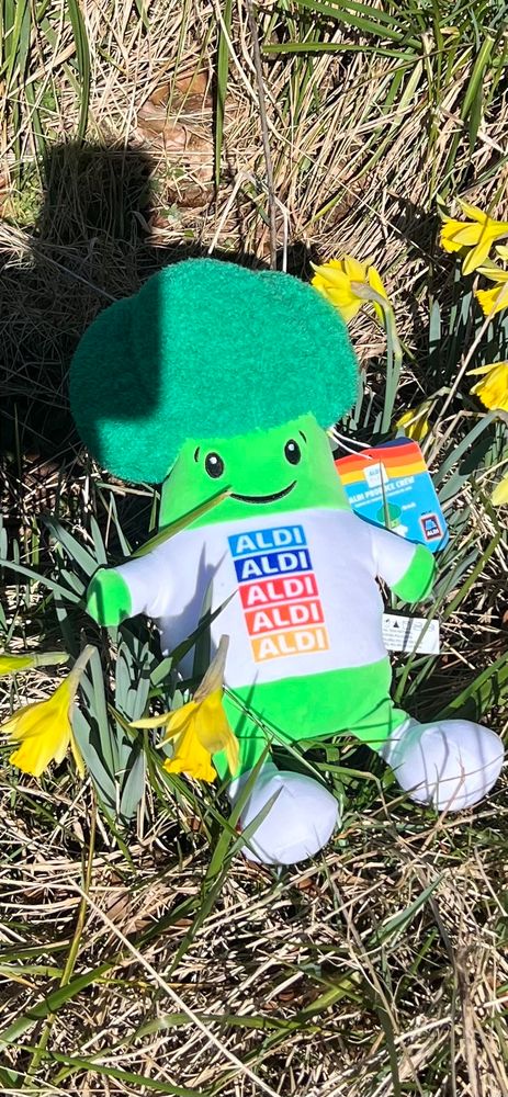 Stuffed broccoli man laying in flowers.