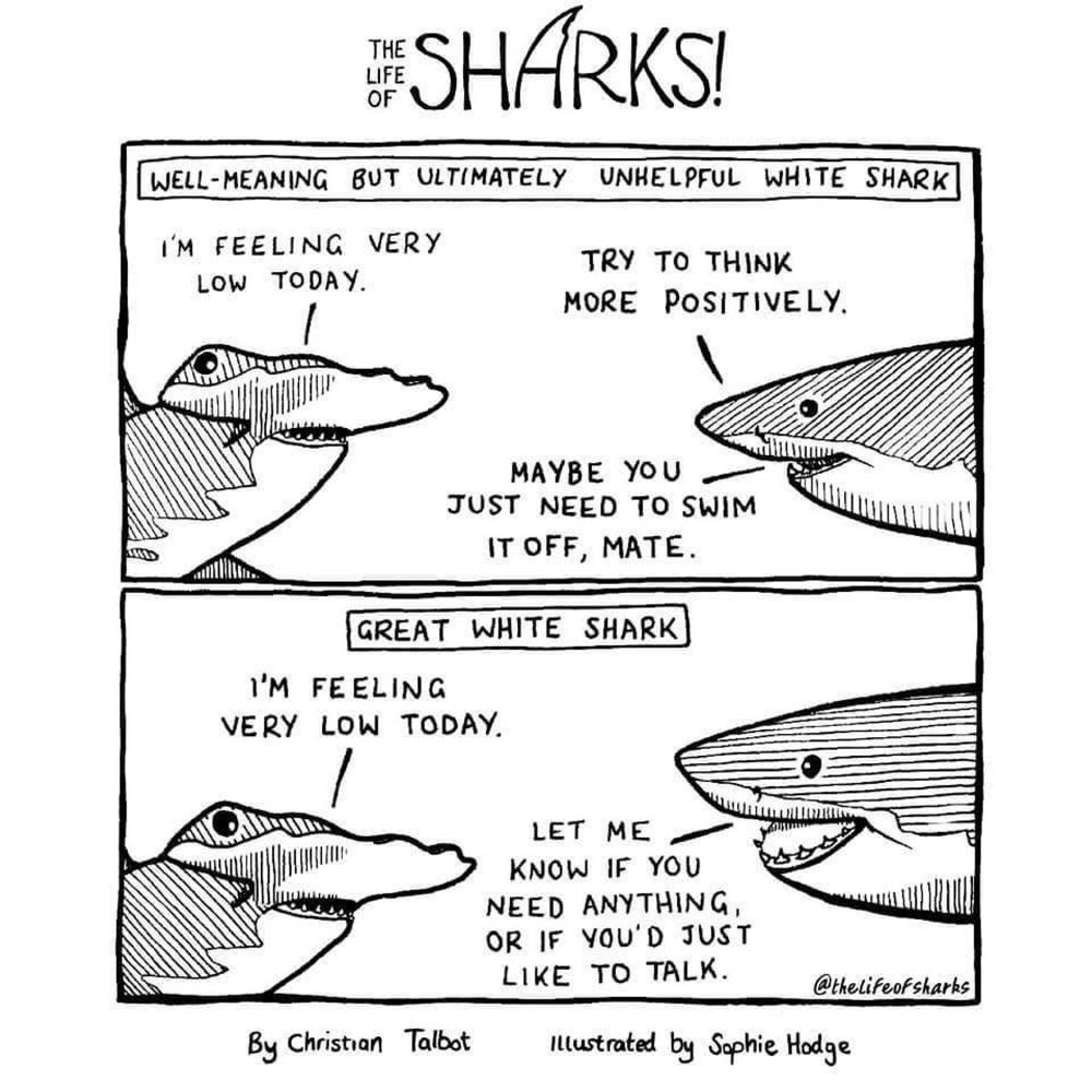 The Life of Sharks! Cartoon. The top panel says “well-meaning but ultimately unhelpful white shark,” with a hammerhead shark saying “I’m feeling very low today,” and the great white saying “Try to think more positively… maybe you just need to swim it off mate.” The bottom panel says “Great white shark” with the hammerhead saying “I’m feeling very low today,” and the great white saying “Let me know if you need anything, or if you’d just like to talk.”