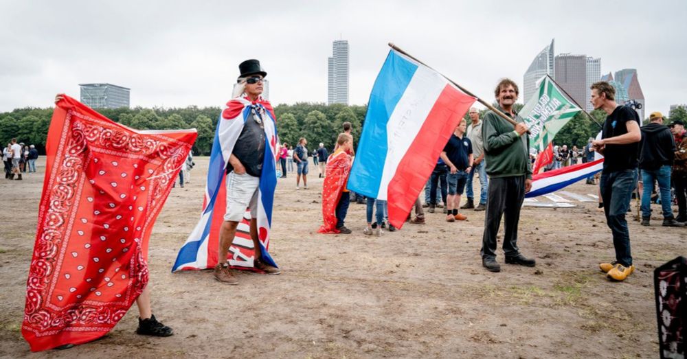 Hoe Trumps wereld invloed kreeg op het Nederlandse stikstofbeleid