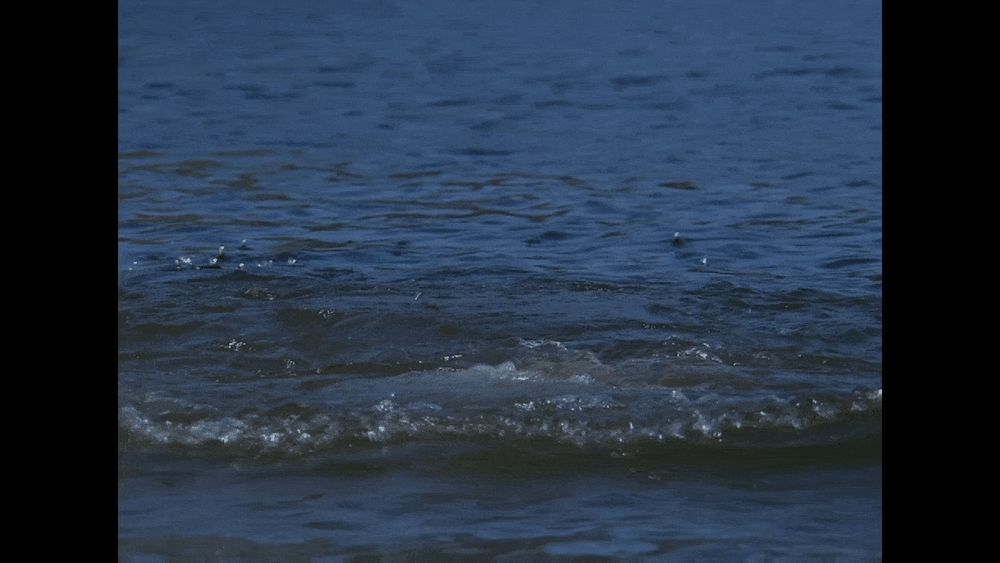 Szene aus "seaQuest". Bridger taucht aus dem Meer auf, Darwin schwimmt davor vorbei.