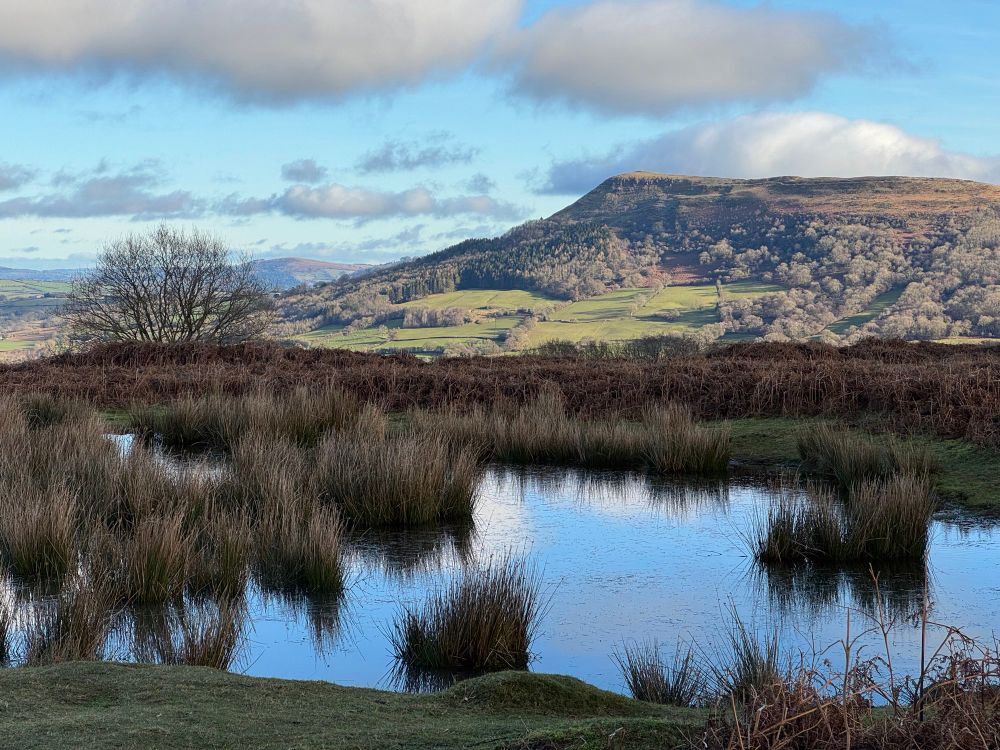 Yr Ysgyryd Fawr gweld o’r Deri - The Skirrid seen from the Deri, reflecfing the sky in a shallow sedge-edged pool.