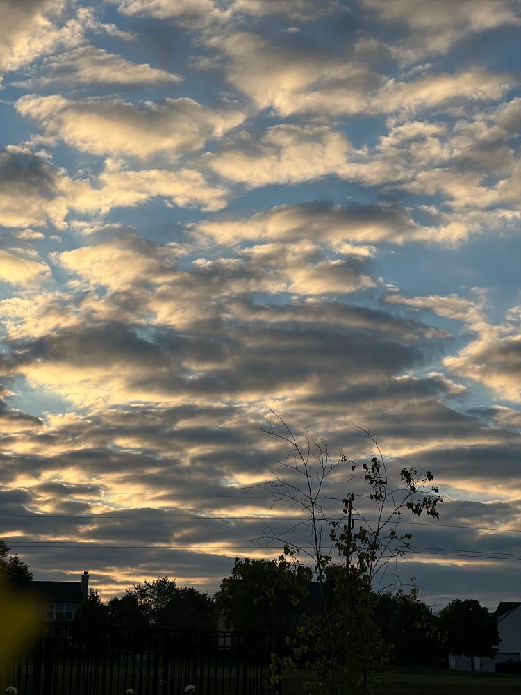 Dark line of homes and trees beneath a blue sky covered with grey, bright yellow, sparkly white clouds