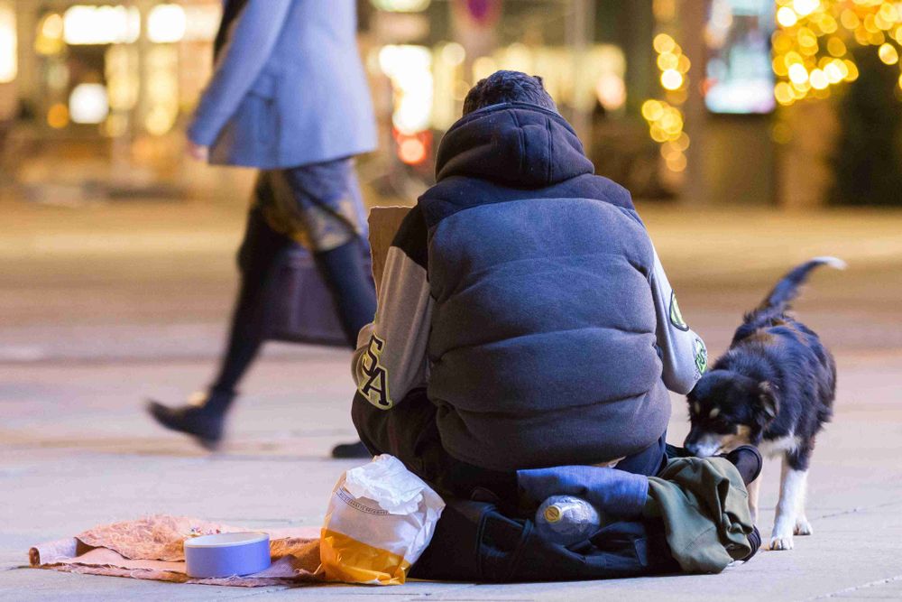 A person sitting on the ground with a dog beside them, surrounded by belongings, including a bag and a rolled mat.
