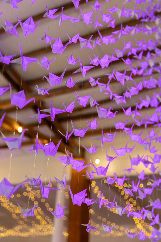 Paper cranes lit up in purple 💜