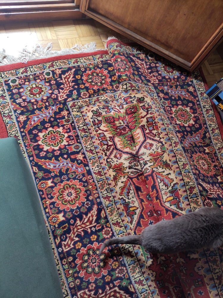 Foto de los bordes de una alfombra. Se ve una cenefa ancha con motivos vegetales dibujados geométricamente en tonos beige, azules, naranjas, rojos... tiene muchísimos detalles y es preciosa