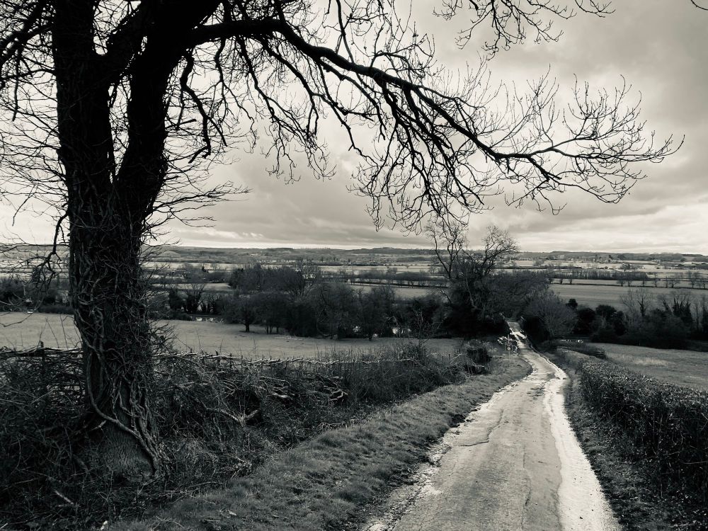 A country lane snakes away moodily in black and white, with a tree to the left