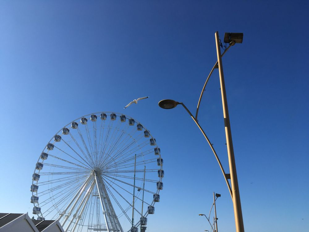 A still(ish) life of a big wheel, a lamppost and a seagull against a clear blue sky, at Great Yarmouth in Norfolk.