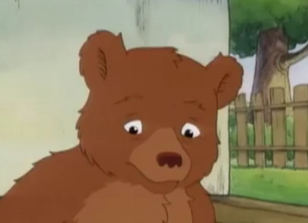 Little Bear (a brown cartoon bear) looking at the skeet below him looking very unsure about its content. A plain blue-cream wall is behind him, and there's a lawn, fence, and a tree in the background. I think it's an oak.