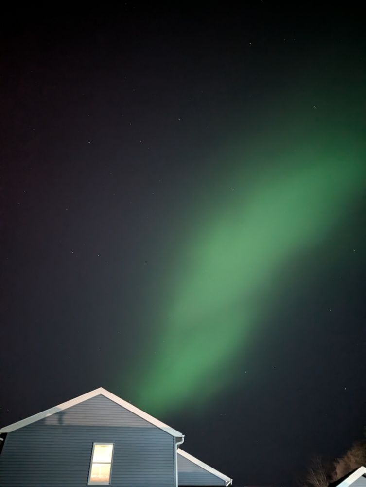 A picture of the night sky. There's a green aurora present that is reminiscent of a flower.