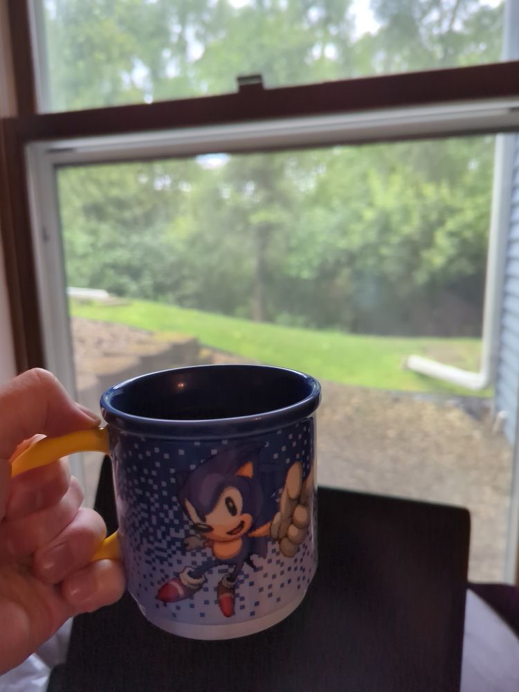 A full coffee mug in front of a forest-facing window. Sonic the Hedgehog is on the mug jumping up and pointing ahead. The mug has a blue-fading-to-light-blue pixely background and its handle is yellow like a ring... The forest isn't so bad either. Very green. Glass needs cleaning, tho.