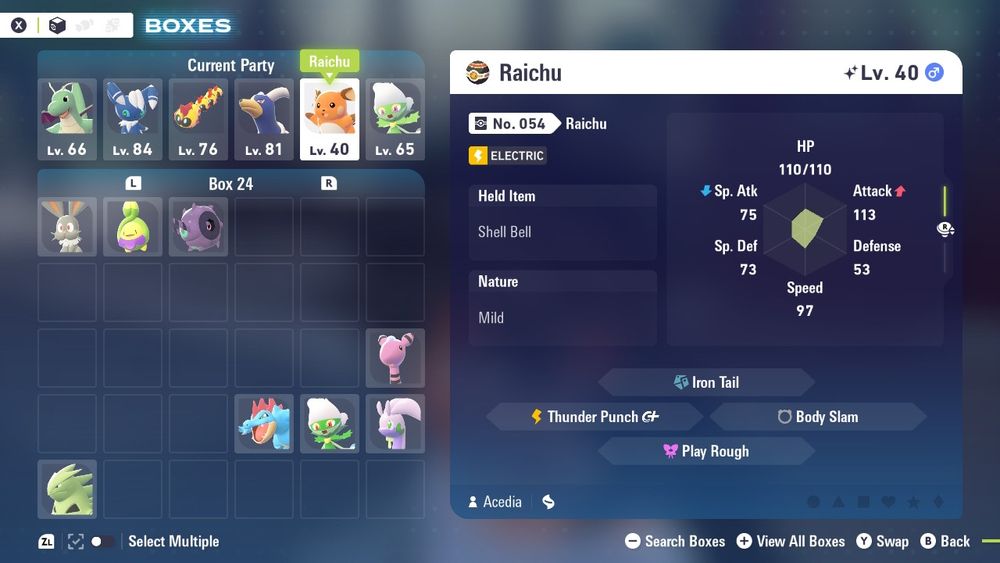 Box screenshot showing of current team plus reserve pokemon including old team members and random shinies.