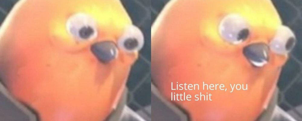 Listen here you little shit bird meme 