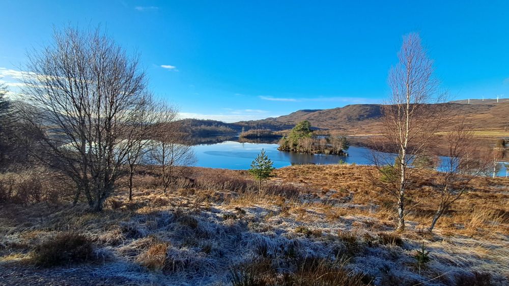 A Scottish loch in winter with frost on grass, blue sky and trees without leaves