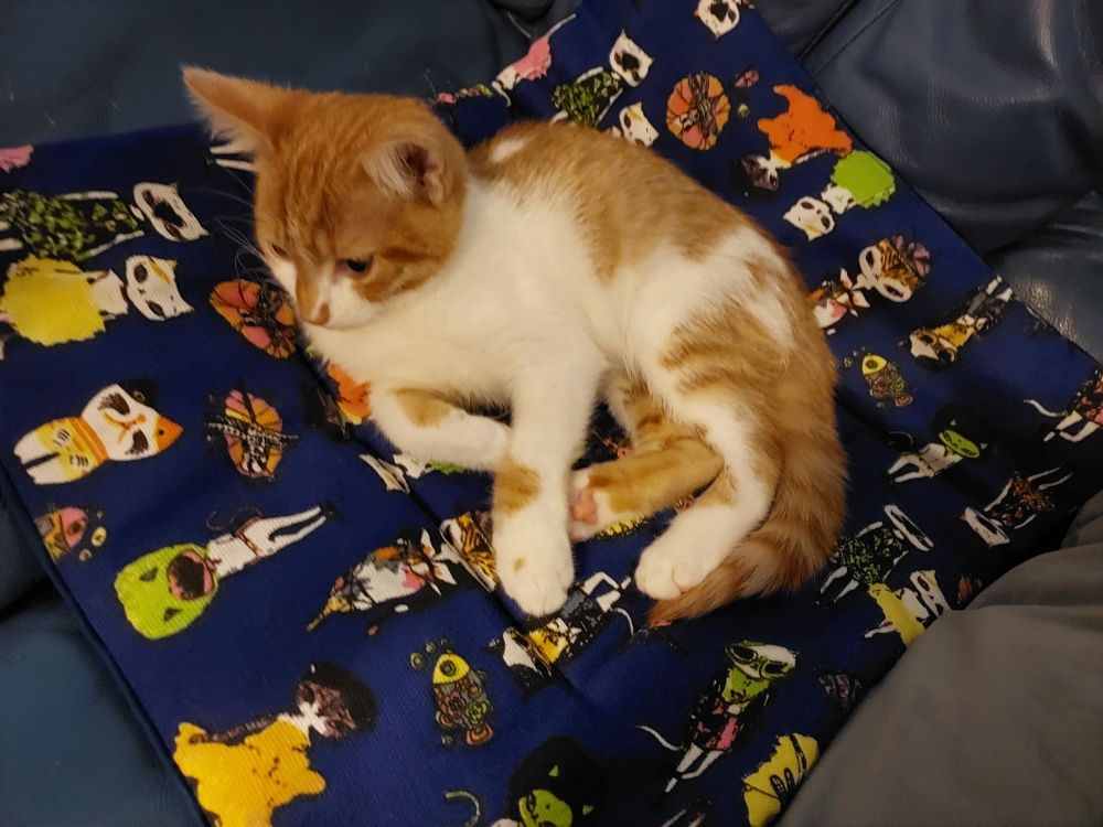 Four photos! A record for us. Still on the cute mat.