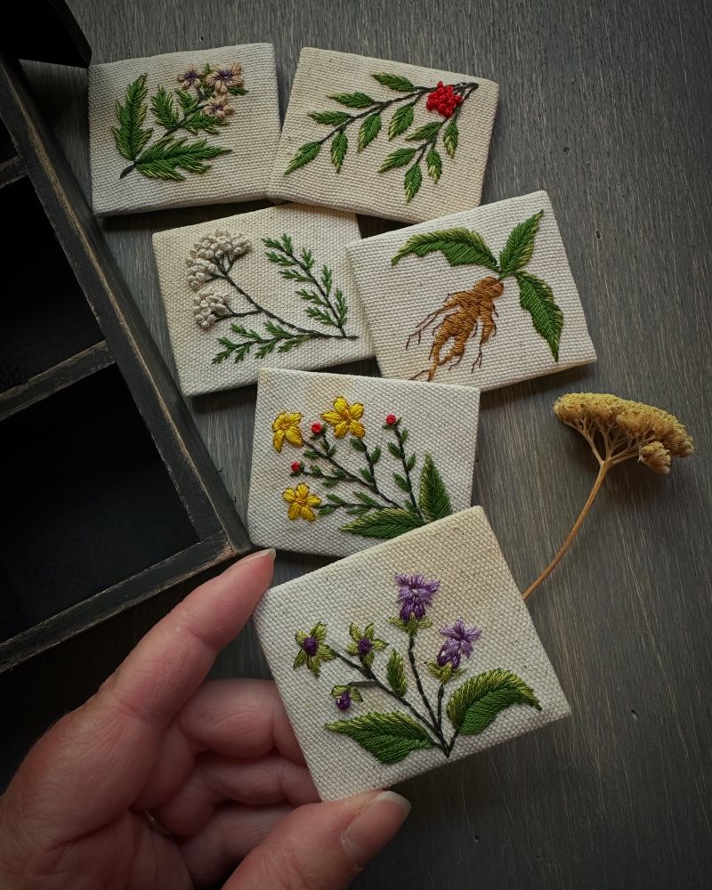 A series of miniature hand embroideries of plants.  A hand holds an embroidery of deadly nightshade.