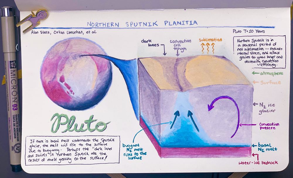 A photograph of a sketch in my notebook where I summarize a talk by Alan Stern and Orkan Umurhan. on the left is a sketch of Pluto centered on Sputnik Planitia. I highlight the northern part of Sputnik Benicia, where there are some darkened streaks amongst the convective swirls of the glacier. On the right hand side of the sketch, I zoom in to a cross-section of this portion of the glacier. In the side profile, you can see a thick, nitrogen ice glacier, shown mostly in grays, overlying a water-rich icy crust, shown in red. They hypothesis that the bottom of the glacier is melting, producing effectively liquid nitrogen. Unlike basal melt in a terrestrial glacier (water) which stays confined to the bottom of the glacier, basal melt in a nitrogen ice glacier would be buoyant and rise through the glacier to the surface. I show that here with some blue coloring: I show a layer of blue at the bottom of the glacier, and then a upwelling that goes towards the surface. At the surface of the cross-section, I show the surface of Sputnik, including a convective cell that is bordered by a trough. The upwelling melt reaches the surface first at the trough, fills in the topographic low, and darken it. in a text box to the side, I explain their hypothesis. They believe that this region of Sputnik is sublimating away. As the glacier thins, it reduces stress on the ice, promoting the growth of larger grain sizes. Larger green sizes, inhibit convection, and make it harder for the glacier to lose heat. Thus the bottom of the glacier can get warmer and melt.