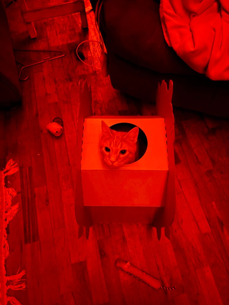 orange car in a scratching-board playhouse, floor is wooden with orange lighting