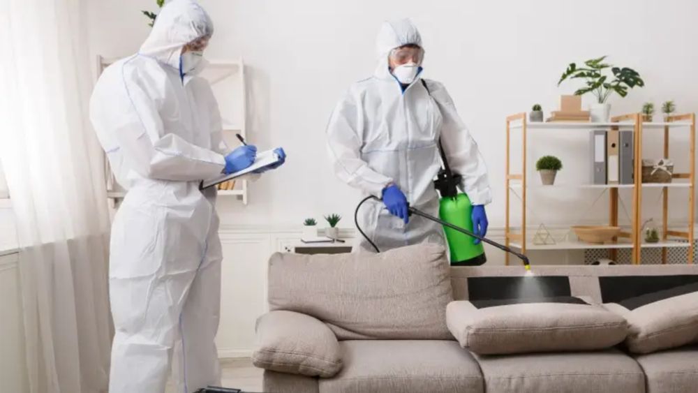 Pest Control Services in Jeddah