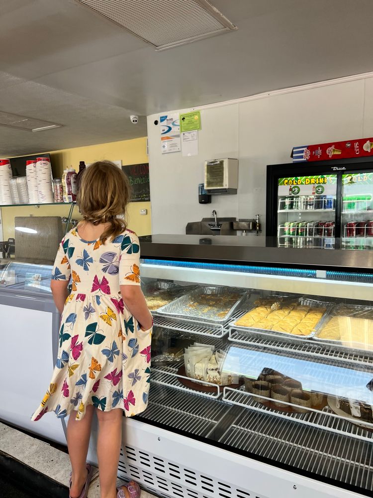 Girl in a butterfly print dress standing in front of a case of baklava