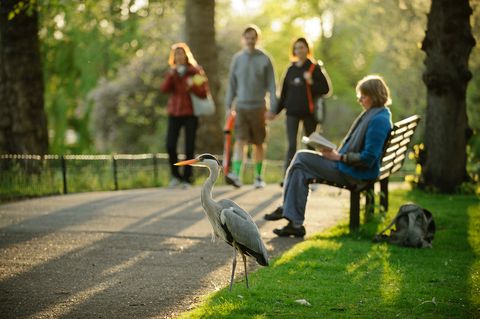 The Wildlife Trusts would love to hear your opinions on how nature makes you feel, and what you think we as a society should (or shouldn’t) be doing to protect it. Take the survey today!