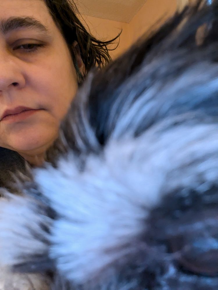 Extreme close up of fluffy dog muzzle 